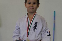 Honkyokushin Kispest Kupa