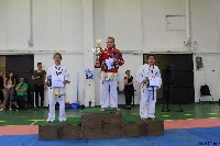 Honkyokushin Kispest Kupa