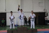 Honkyokushin Kispest Kupa