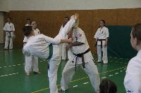 Edzés a Dojoban
