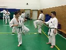 Senpai Gottfried Sándor fight tréning