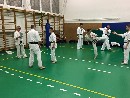 Senpai Gottfried Sándor fight tréning