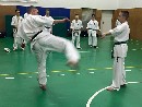 Senpai Gottfried Sándor fight tréning