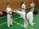 Senpai Gottfried Sándor fight tréning