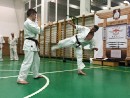 Senpai Gottfried Sándor fight tréning