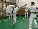 Senpai Gottfried Sándor fight tréning