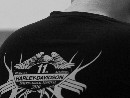 Gyerek tréning és K-1 rendszerű edzés Molnár Zolival