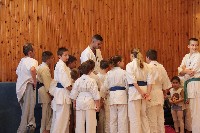 Hinomoto SE 6. szülinap