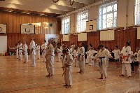 Hinomoto SE 6. szülinap