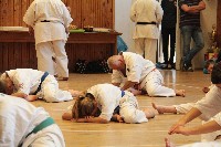 Hinomoto SE 6. szülinap