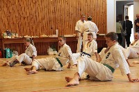Hinomoto SE 6. szülinap