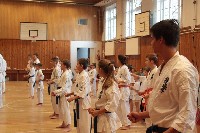 Hinomoto SE 6. szülinap