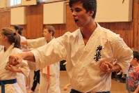 Hinomoto SE 6. szülinap