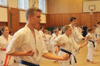 Hinomoto SE 6. szülinap