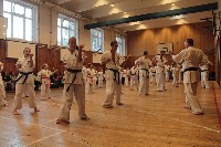 Hinomoto SE 6. szülinap