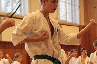 Hinomoto SE 6. szülinap