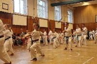 Hinomoto SE 6. szülinap