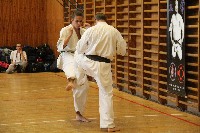 Hinomoto SE 6. szülinap