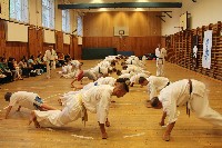 Hinomoto SE 6. szülinap