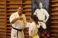 Hinomoto SE 6. szülinap