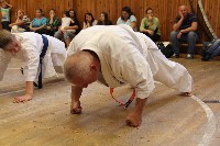 Hinomoto SE 6. szülinap