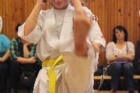 Hinomoto SE 6. szülinap