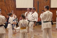 Hinomoto SE 6. szülinap