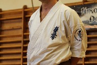 Hinomoto SE 6. szülinap