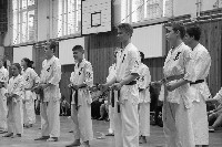 Hinomoto SE 6. szülinap