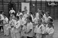 Hinomoto SE 6. szülinap