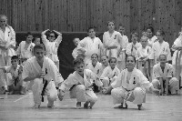 Hinomoto SE 6. szülinap