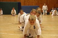 Hinomoto SE 6. szülinap