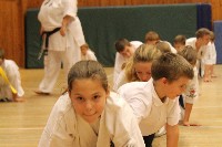 Hinomoto SE 6. szülinap