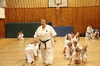 Hinomoto SE 6. szülinap
