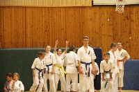 Hinomoto SE 6. szülinap
