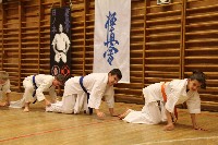 Hinomoto SE 6. szülinap