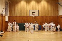 Hinomoto SE 6. szülinap