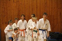 Hinomoto SE 6. szülinap