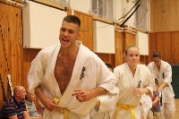 Hinomoto SE 6. szülinap