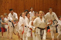 Hinomoto SE 6. szülinap