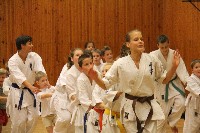Hinomoto SE 6. szülinap
