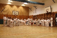 Hinomoto SE 6. szülinap
