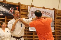 Hinomoto SE 6. szülinap