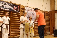 Hinomoto SE 6. szülinap