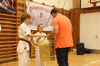 Hinomoto SE 6. szülinap