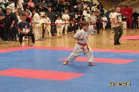 II. HALAS KUPA