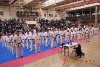 II. HALAS KUPA