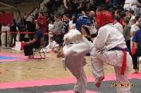 II. HALAS KUPA