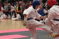 II. HALAS KUPA