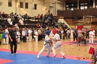 II. HALAS KUPA